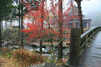 20111202_1.jpg