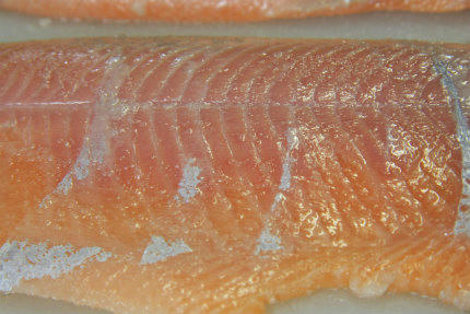 20111212.jpg