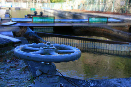20111213_1.jpg