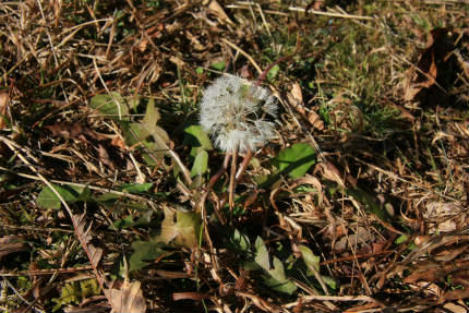 20111213_3.jpg