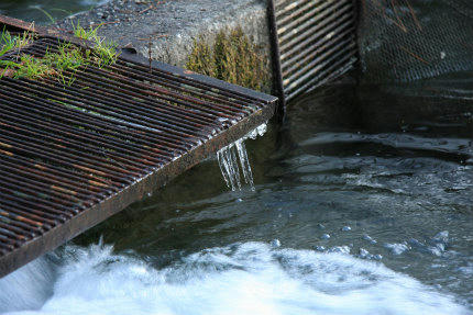 20111217_1.jpg