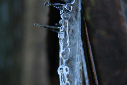 20111217_3.jpg