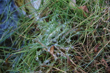 20111217_4.jpg