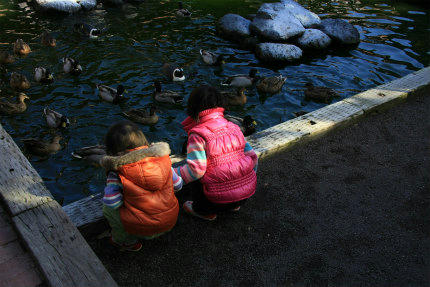 20111219_1.jpg