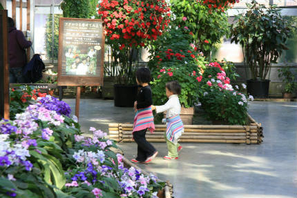 20111219_3.jpg