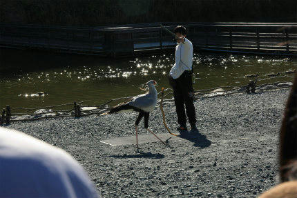20111219_4.jpg