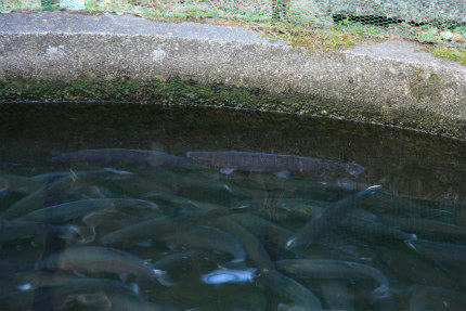 20111220.jpg