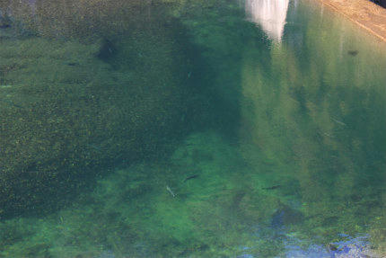 20111231.jpg