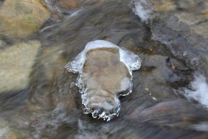 20120101_1.jpg
