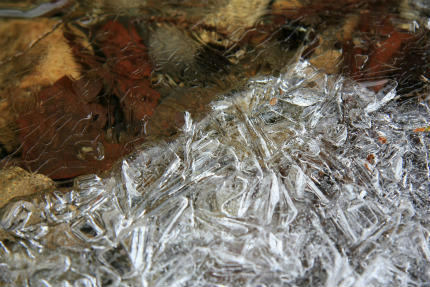 20120101_4.jpg