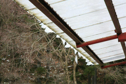 20120106_3.jpg