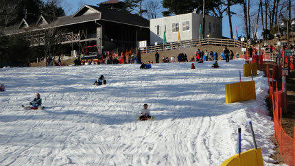 20120107_2.jpg