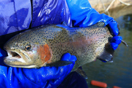 20120108_2.jpg