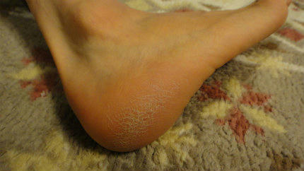 20120111.jpg