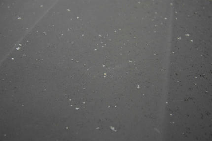 20120113_2.jpg