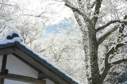 20120117_3.jpg