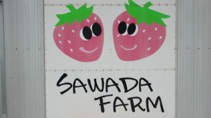 20120121_1.jpg