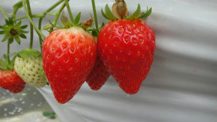 20120121_2.jpg