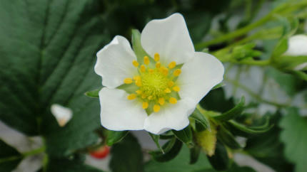 20120121_3.jpg