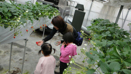 20120121_4.jpg