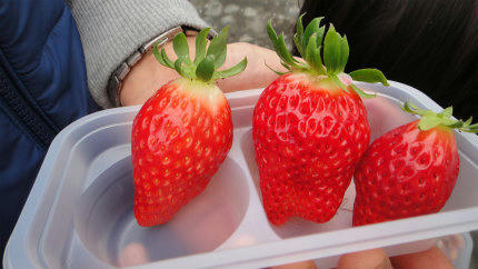 20120121_5.jpg