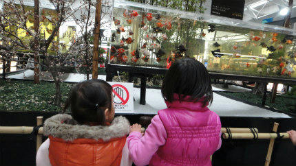 20120121_9.jpg