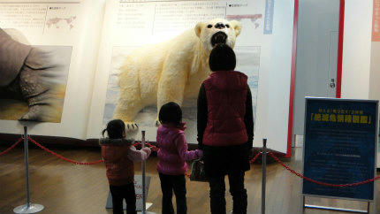 20120121_10.jpg