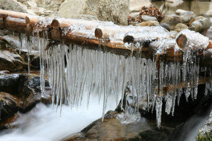 20120125_1.jpg
