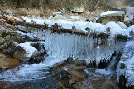 20120129_1.jpg