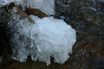 20120129_2.jpg