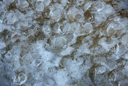 20120129_3.jpg