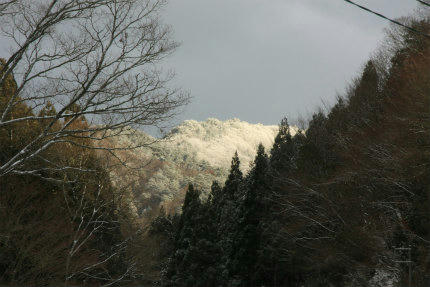 20120202_1.jpg