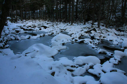 20120203_2.jpg