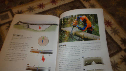 20120216_2.jpg