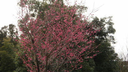 20120226_5.jpg