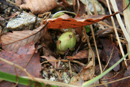 20120306_2.jpg