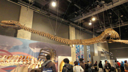 20120324_3.jpg