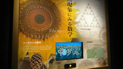 20120324_9.jpg