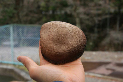 20120331.jpg