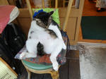 DSC00384.JPG