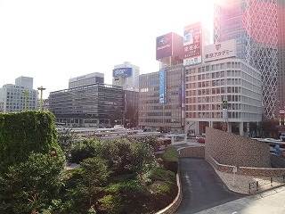 DSC01005.jpg