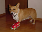 c0f814f5-s.jpg