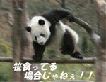 3474b2be-s.jpg