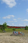 D3S_3584.jpg