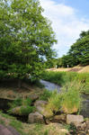 D3S_3612.jpg
