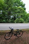 D3S_3661.jpg