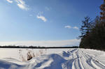 D3S_6184.jpg