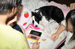 D3S_6687.jpg