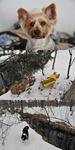 D3S_7739.jpg