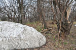 D3S_7952.JPG